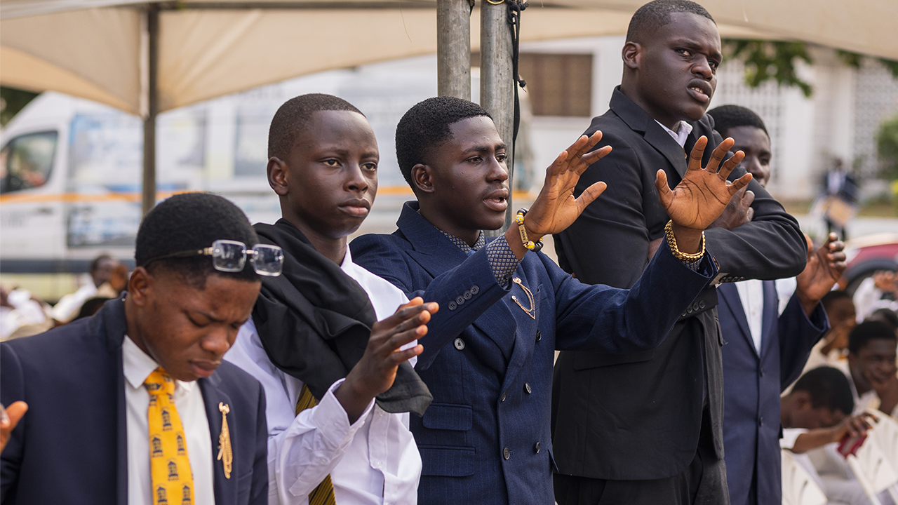 Gallery thumbnail 12