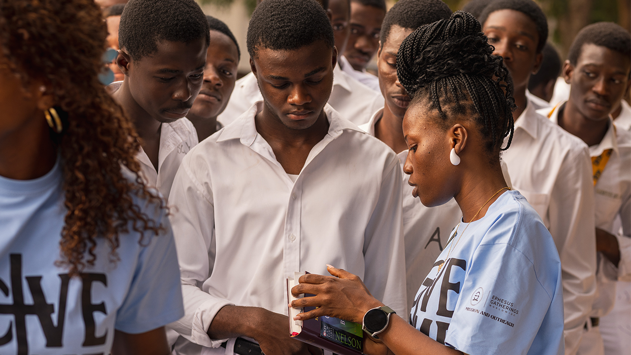 Gallery thumbnail 14