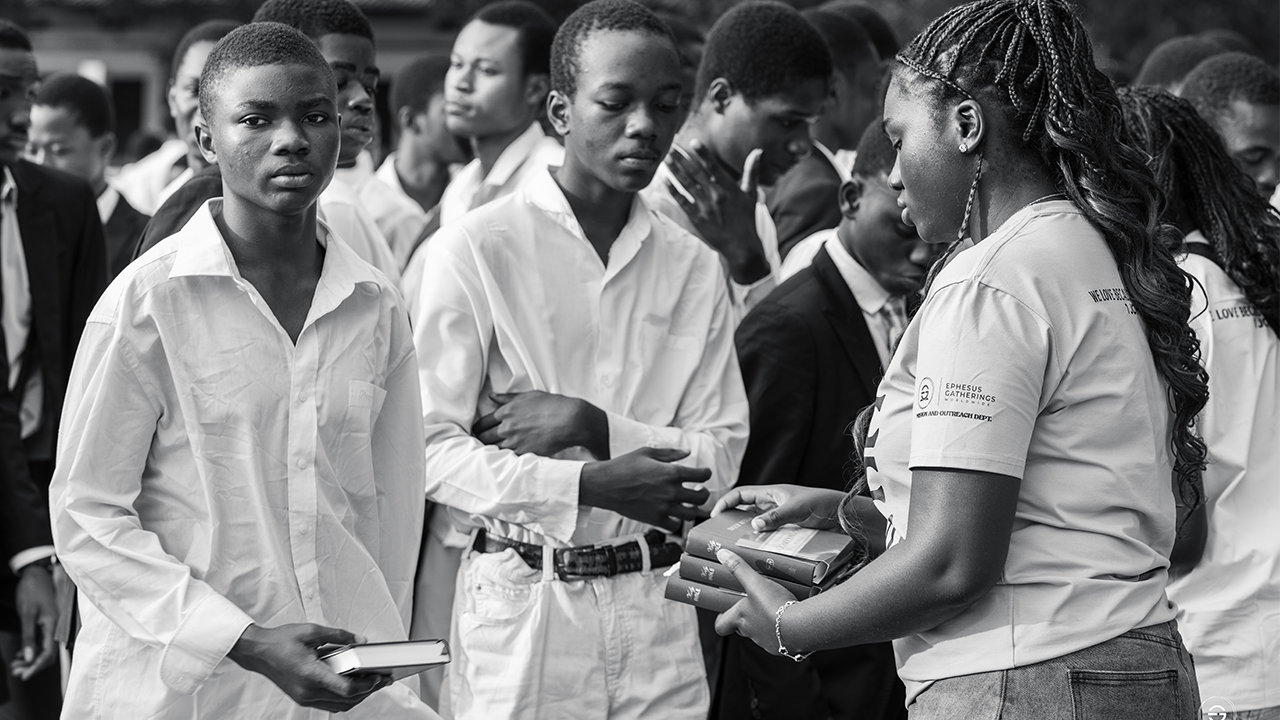 Gallery thumbnail 15