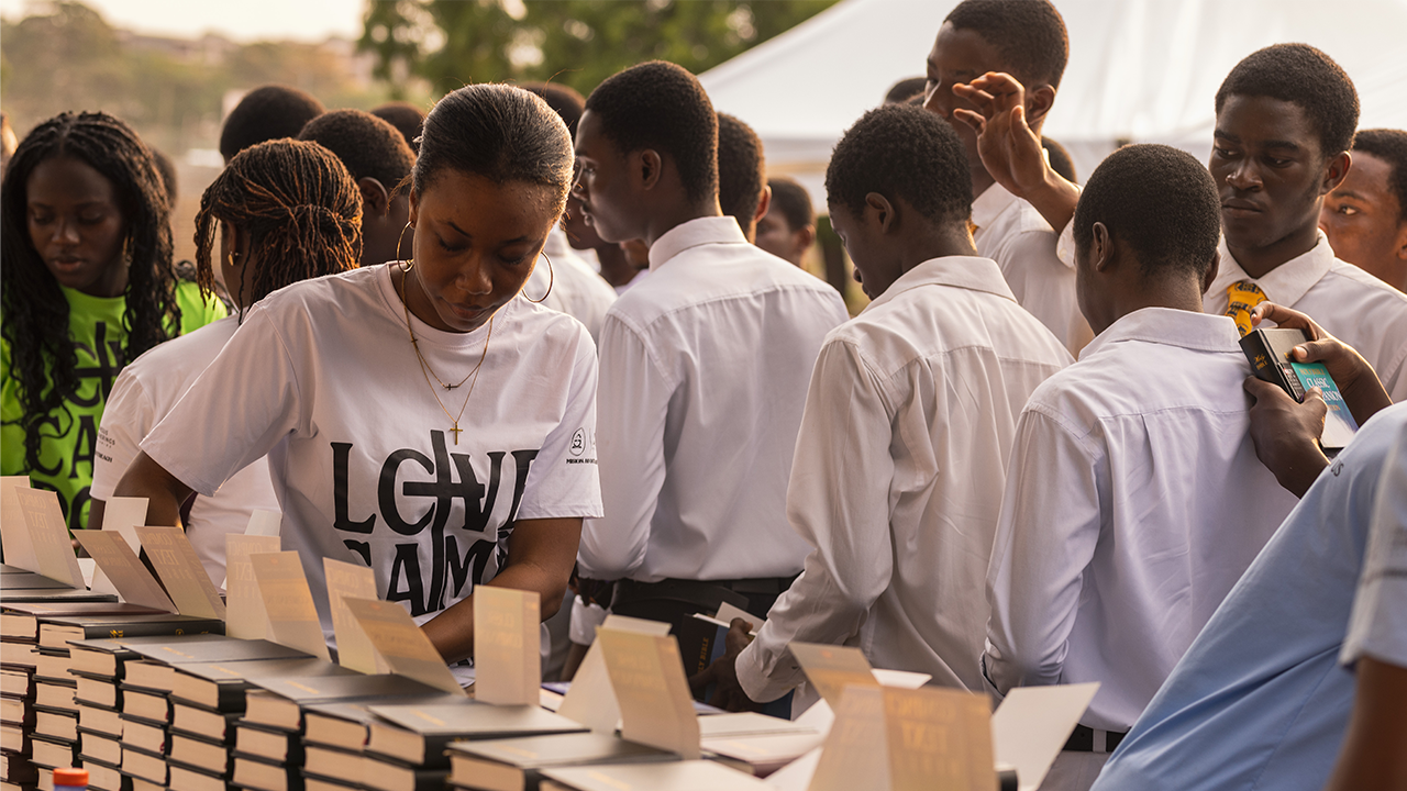 Gallery thumbnail 16